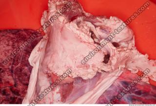 Photo Textures of RAW Pork Meat